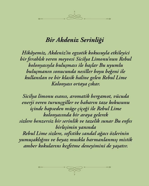 Rebul Lime 250 ml Kolonya Cam Şişe - Resim 3