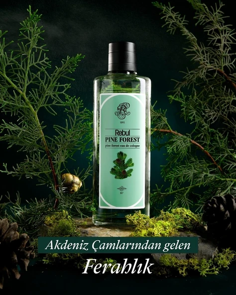 Rebul Pıne Forest 250 Ml Kolonya 250 Ml - Resim 2