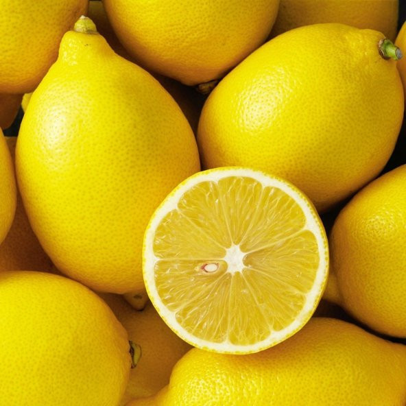 Tüplü Dayanıklı Yarı Bodur Mayer Sulu Limon Fidanı ürün görseli 1