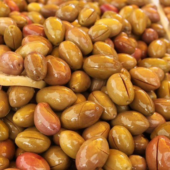 Koroneiki Bodur Zeytin Fidanı (Meyve Verme Durumunda) ürün görseli 1