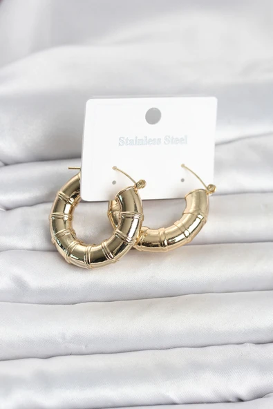 316L Çelik Gold Renk Bambu Model Halka Kadın Küpe TJ-BKP11828 ürün görseli 1