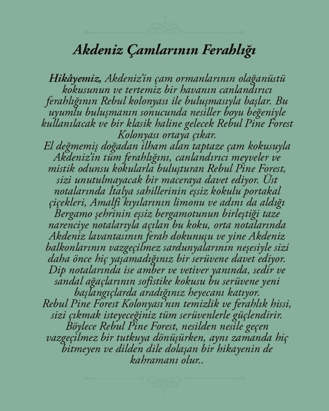 Rebul Pine Forest EDC 125 ml Kolonya Spreyi - Resim 2