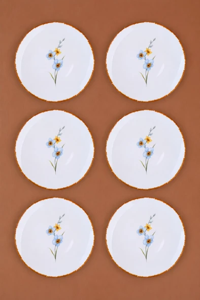 Tabak Evi Porselen Azelya Pasta Tabağı 19,50cm ALY1 6 Kişilik 6 Parça ürün görseli 1