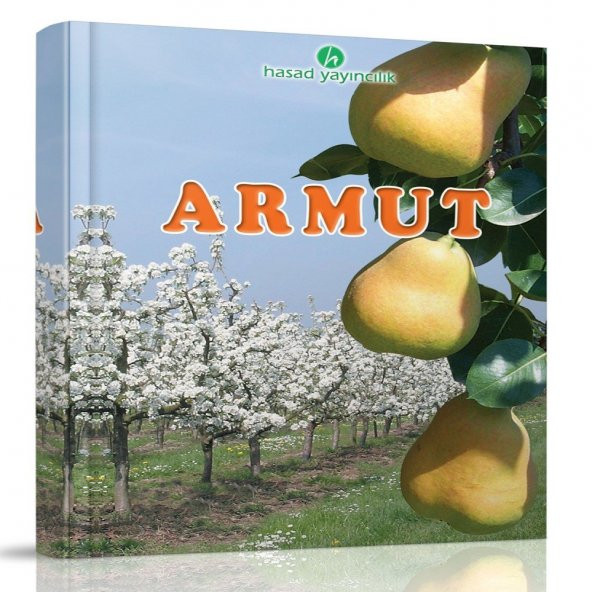Armut Kitabı ürün görseli 1