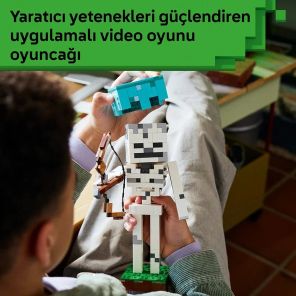 İskelet 21594 - Resim 2