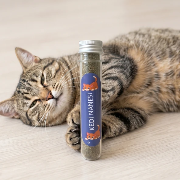 Doğal Kedi Nanesi (Catnip) - 45 ml Tüp - Pratik ve Taze ürün görseli 1