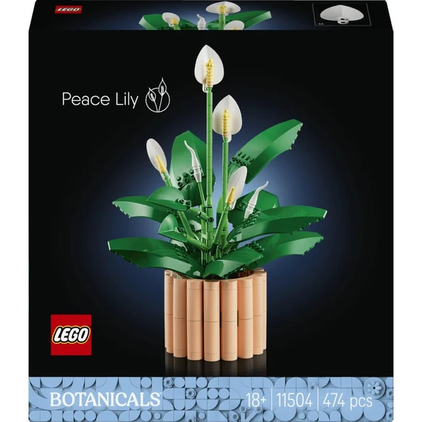 Lego 11504 Botanicals Barış Çiçeği - Resim 3
