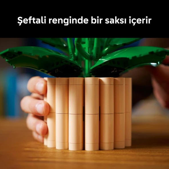 Lego 11504 Botanicals Barış Çiçeği - Resim 8