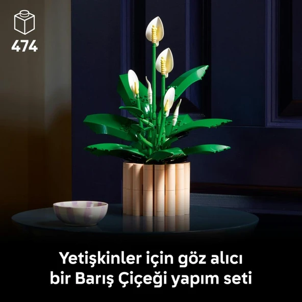 Lego 11504 Botanicals Barış Çiçeği - Resim 5