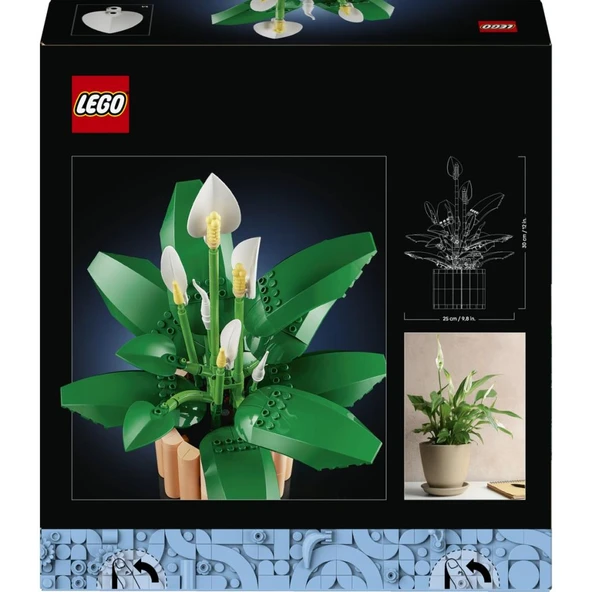 Lego 11504 Botanicals Barış Çiçeği - Resim 4