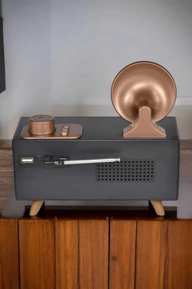 Nostaljik Görünümlü Bluetooth Bağlantılı Speaker - Resim 5