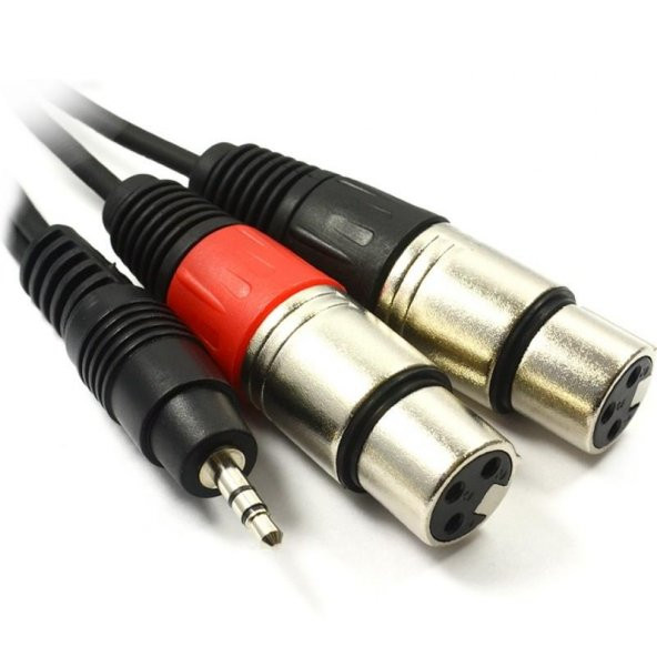 3.5 mm Stereo to 2 Xlr Dişi Kablo 1.5 metre ürün görseli 1