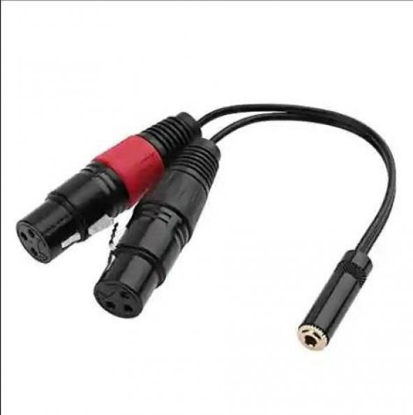 3.5 mm Stereo Dişi-2 Xlr Dişi Kablo 20 cm ürün görseli 1