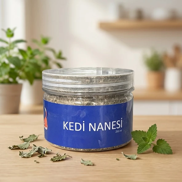 Doğal Kedi Nanesi (Catnip) - 250 ml Kavanoz - Eğlenceli ve Doğal ürün görseli 1
