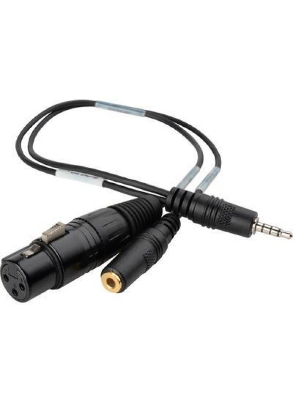 Mikrofon-Kulaklık Ayırıcı Xlr Çıkışlı 20 cm ürün görseli 1