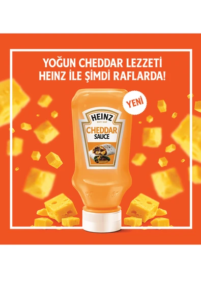 Heinz Cheddar Sos 230 gr x 3 Adet - Resim 5
