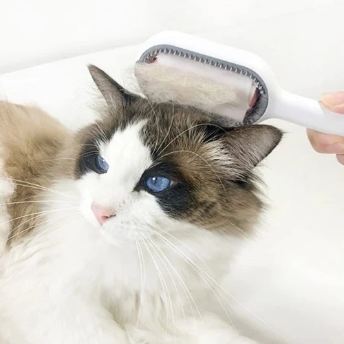 Kedi Köpek Tüy Toplama Tarağı ürün görseli 1