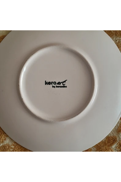 hatıralar Atatürk Konulu Tabak - Resim 4