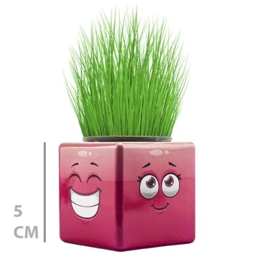 Çim Adam Mini Küp Emoji Figürlü 1 Adet - Resim 4