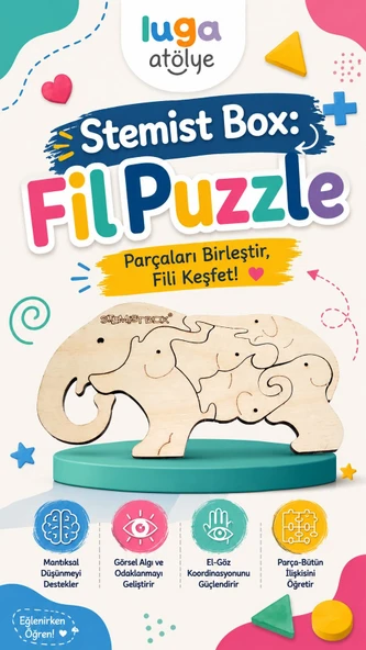 Stemist Box: Fil Puzzle - Resim 2