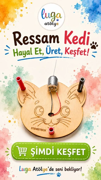 Stemist Box: Ressam Kedi - Resim 5