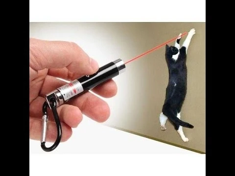 4 Yedek Başlıklı Pilli Kedi Oyuncağı Lazer Anahtarlık ürün görseli 1