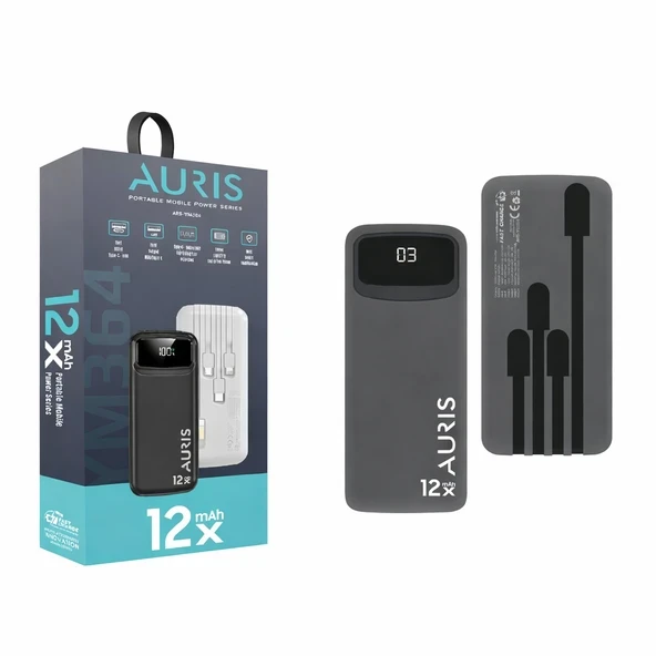 Auris ARS-YM364 12.000 mAh Powerbank ürün görseli 1