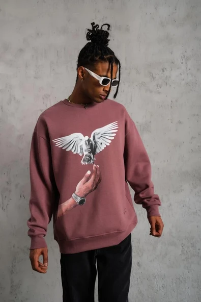 Erkek Güvercin Baskılı Sweatshirt - Gül Kurusu - Resim 3