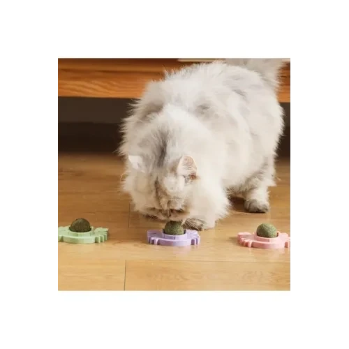 Yengeç Kedi Otu Oyun Topu - Resim 5