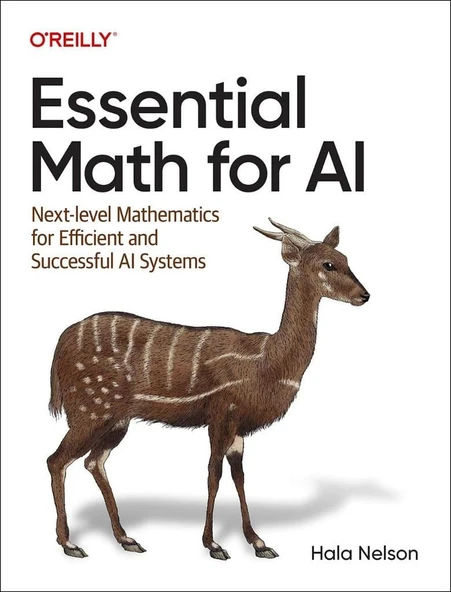 Essential Math for AI: Next-Level Mathematics for Efficient and Successful AI Systems Hala Nelson ürün görseli 1