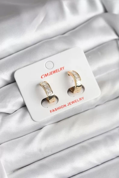 14K Gold Renk Kaplama CM Kadın Küpe - TJ-BKP11421 ürün görseli 1