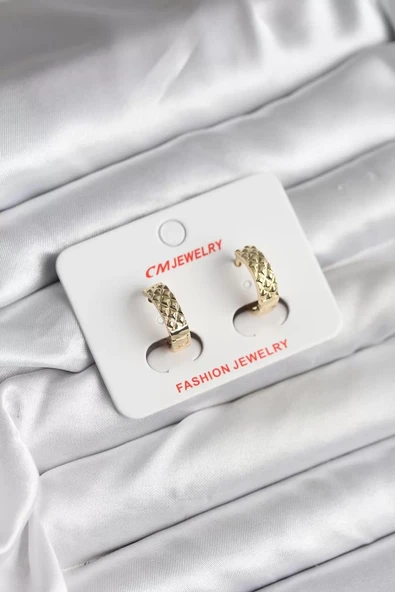 14K Gold Renk Kaplama CM Kadın Küpe - TJ-BKP11416 ürün görseli 1