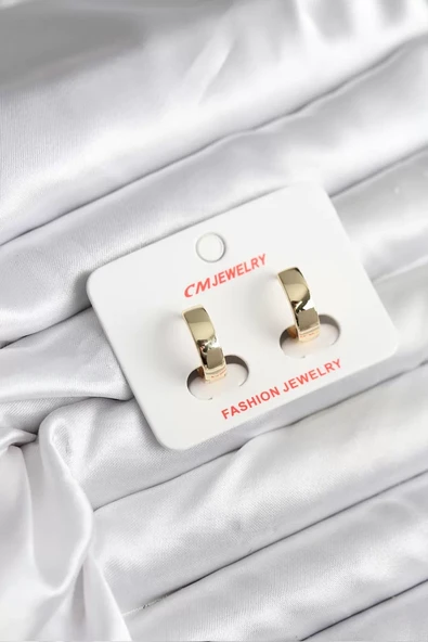 14K Gold Renk Kaplama CM Kadın Küpe - TJ-BKP11408 ürün görseli 1