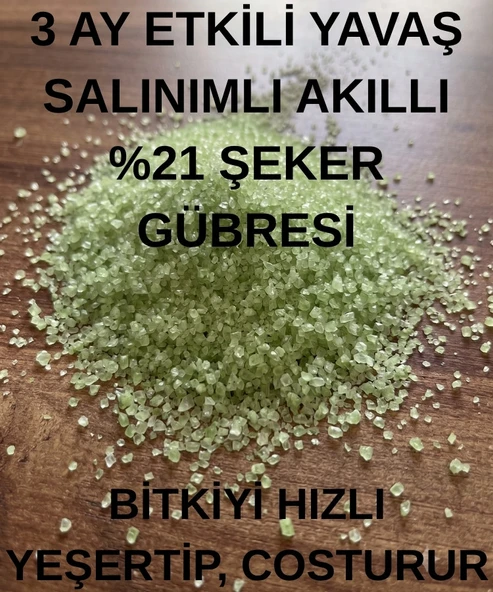 Şeker Gübresi (Amonyum Sülfat) Yavaş Salınımlı Akıllı Çim Gübresi ürün görseli 1