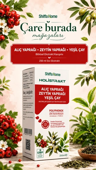 HOLİSTRAKT - Alıç & Zeytin Yaprağı & Yeşilçay İçeren Sıvı Ekstrakt 250 Ml ürün görseli 1
