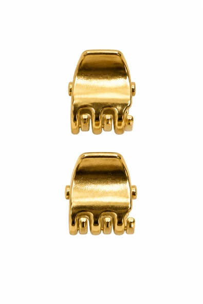 Luxury Women’s Collection Buckle ürün görseli 1