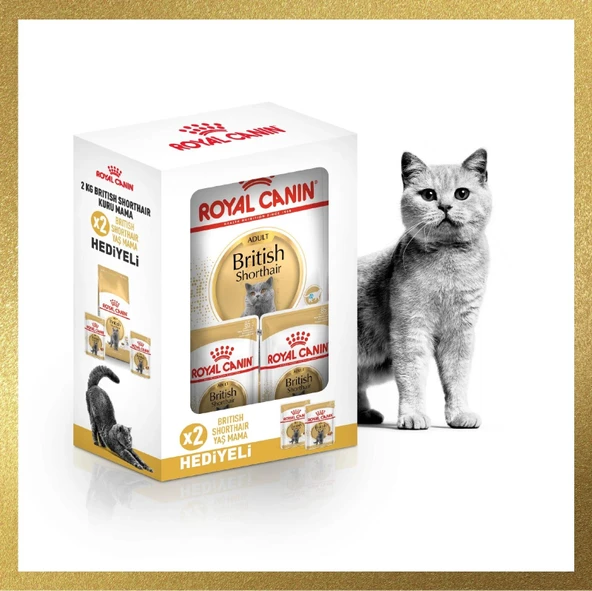 Royal Canin British Shorthair İçin Özel Irk Yetişkin Kedi Maması 2 kg + 2 Adet Pouch Hediyeli ürün görseli 1