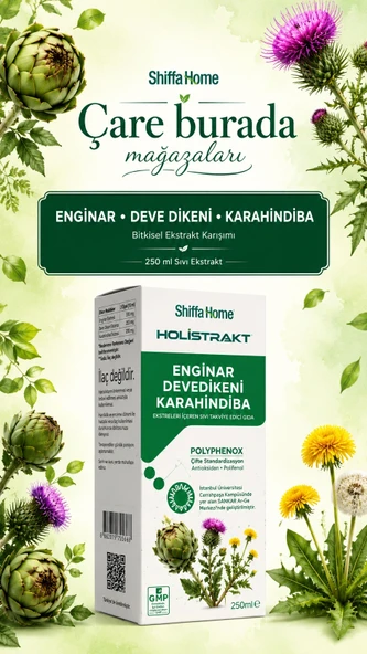 HOLİSTRAKT - Enginar & Devedikeni & Karahindiba İçeren Sıvı Ekstrat 250 Ml (Kolin) ürün görseli 1