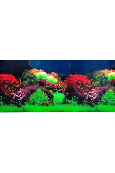 Arka Fon NO 8007 Kırmızı Cazibe 50 cm Uzunluk 50 Cm Yükseklik ürün görseli 1