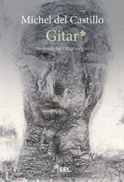 Gitar ürün görseli 1