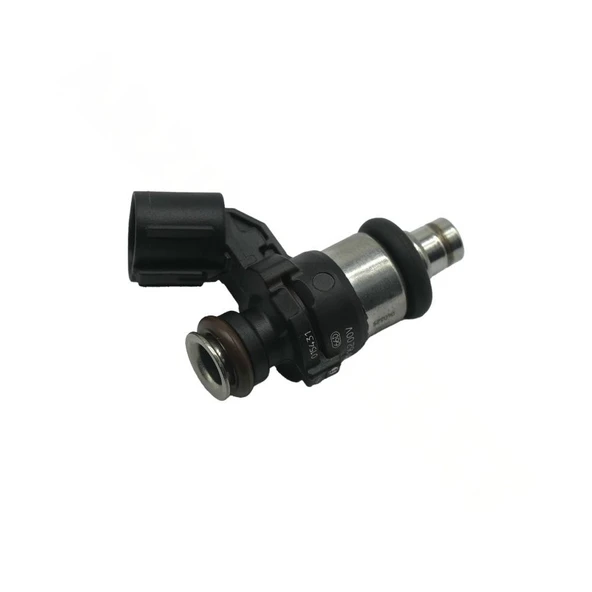 ENJEKSİYON - TVS RAIDER 125 -[N6060210] ürün görseli 1