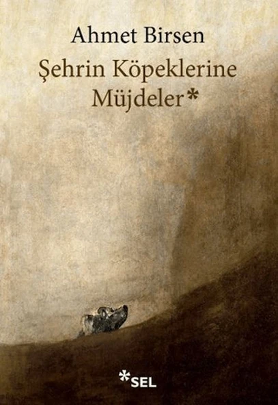 Şehrin Köpeklerine Müjdeler ürün görseli 1