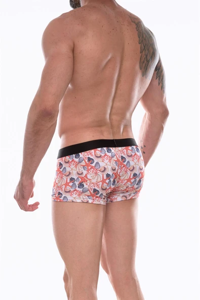Don Moris Erkek Desenli Boxer - Resim 2