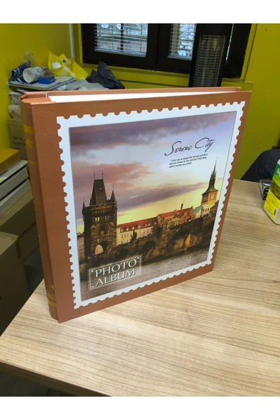 Rabsev RS19 Fotoğraf Albümü 10x15cm 500 Fotoğraf Kapasiteli Lüx Desenli Kutusuz ürün görseli 1