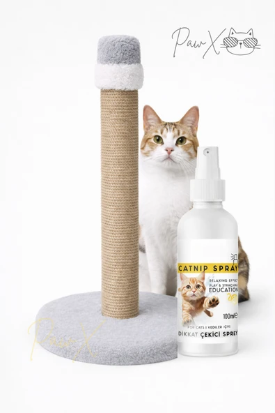 Gri Kedi Tırmalama Tahtası ve Catnip Sprey Seti Doğal Oyun ve Sakinleştirici Eğitim Seti ürün görseli 1