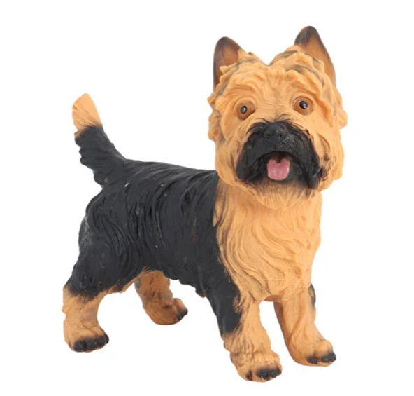 Model Köpek Sarı Siyah Yorkshire Terrier ürün görseli 1
