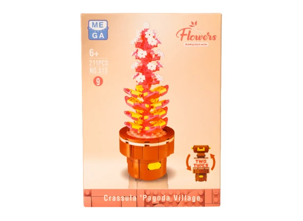 Building Block Flower 211 Parça Sukulent - Resim 2