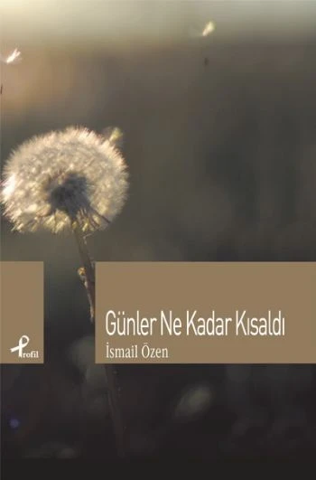 Günler Ne Kadar Kısaldı ürün görseli 1