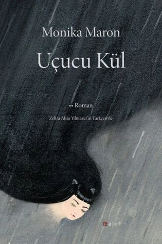 Uçucu Kül ürün görseli 1