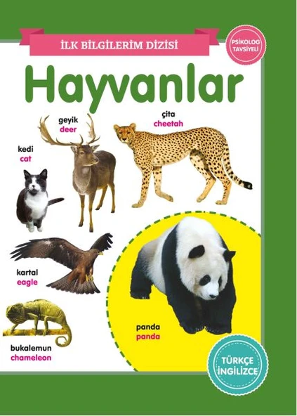Hayvanlar - İlk Bilgilerim Dizisi ürün görseli 1